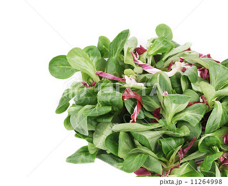 Spinach and radicchio rosso mix. Spinach and radicchio rosso mix. 11264998