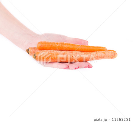 Women's hand holds fresh carrot. 11265251