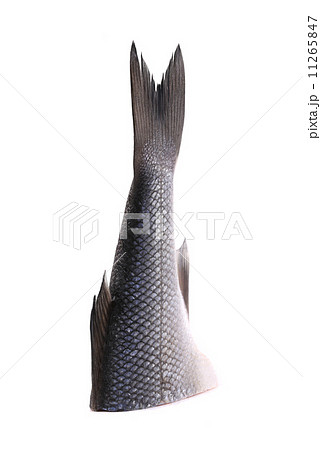 Tail of raw fish. 11265847