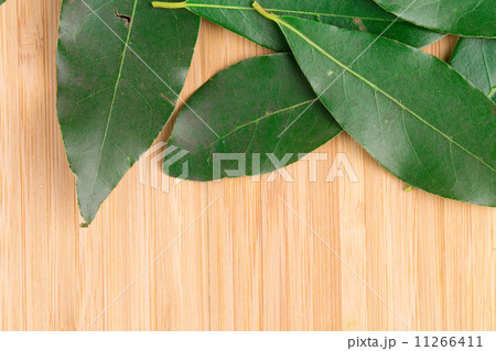 Fresh bay leaves 11266411