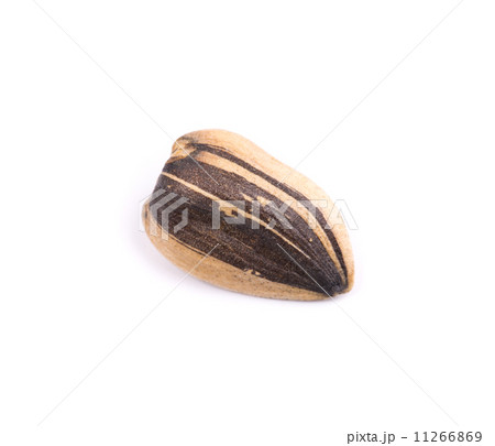 One sunflower seed. One sunflower seed. 11266869