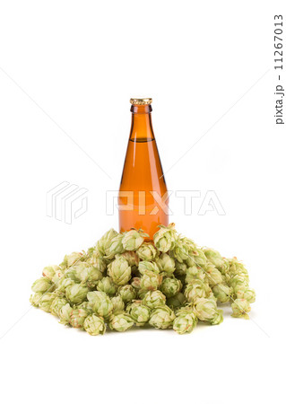 Beer bottle and hop flowers. Beer bottle and hop flowers. 11267013