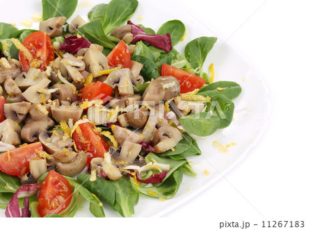 Close up of mushroom salad. 11267183