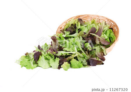 Wicker basket with lettuce leaves. Wicker basket with lettuce leaves. 11267320