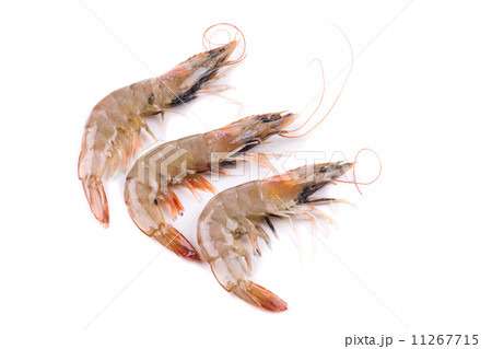 Three raw shrimps. 11267715