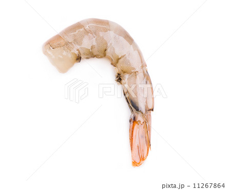 Close up of fresh shrimp. 11267864