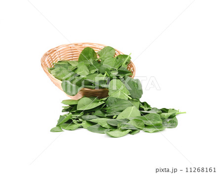 Young spinach in a wicker basket. 11268161