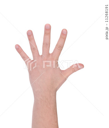 Five fingers. Man's hand. 11268191