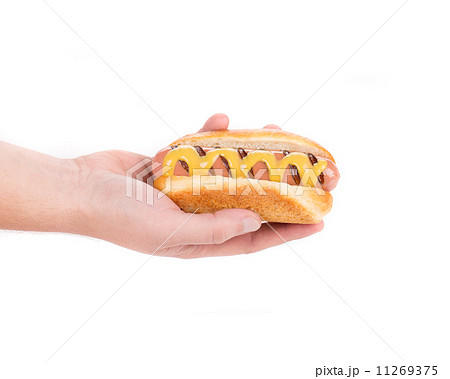 Hand holding tasty hot dog. 11269375