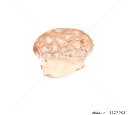 Champignon mushroom. 11270384