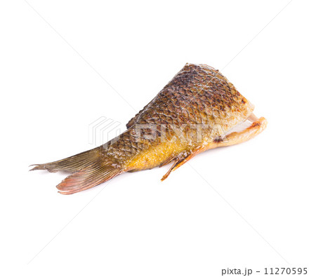 Grilled carp fish tail. Grilled carp fish tail. 11270595