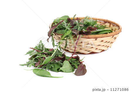 Mix salad in basket. 11271086