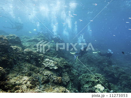 海に潜るダイバーたち 11273053