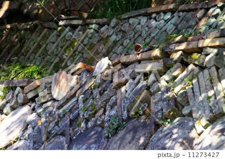 窯垣の小径 窯垣の小径 11273427