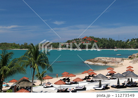 タイ、サムイ島　（南国のリゾート） 11273549