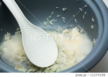 Mildew Mildew 11274299