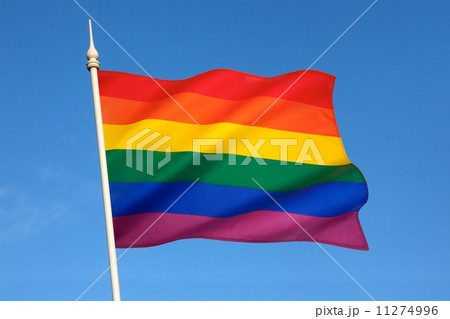 Gay Pride Flag 11274996