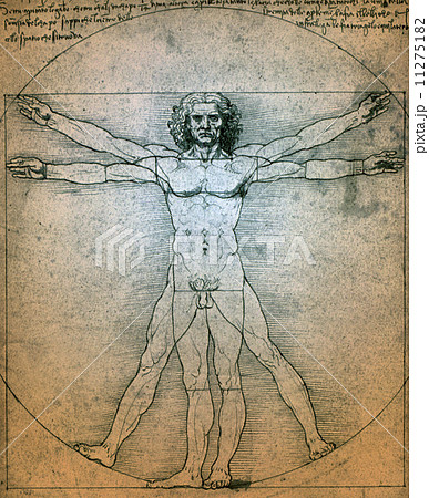 Vitruvian Man - Leonardo da Vinciの写真素材 [11275182] - PIXTA