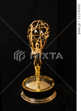 Emmy Award 11276503
