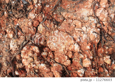 Texture of parched red soil Texture of parched red soil 11276603