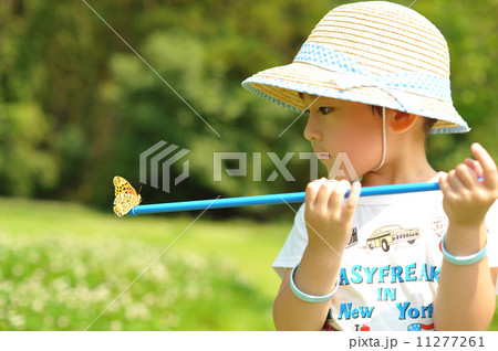 昆虫採集 11277261