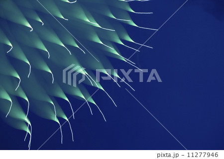 花火（特殊撮影） 11277946