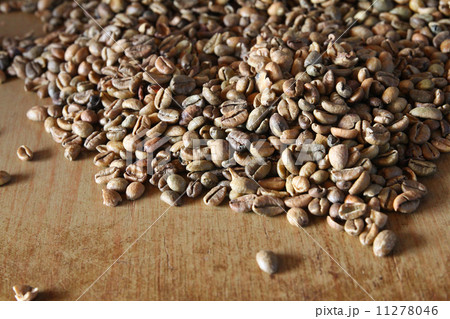 Coffee seeds 11278046