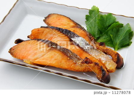 鮭の焼魚 鮭の焼魚 11278078
