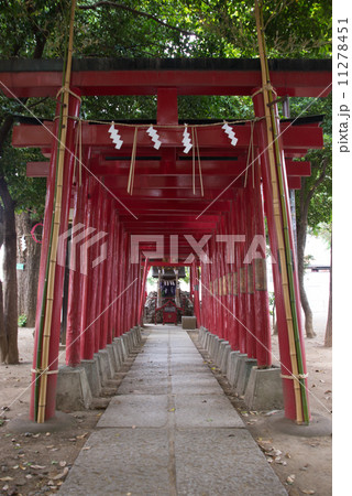 花園神社の境内 花園神社の境内 11278451