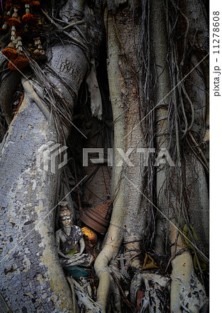 Hermit statue inside Bodhi Tree Hermit statue inside Bodhi Tree 11278608