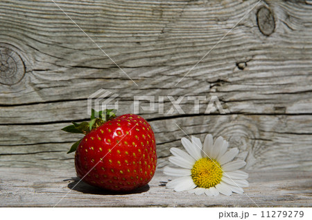 Summer symbols - strawberry and daisy flower 11279279