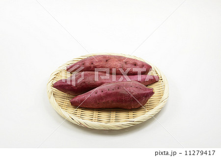 サツマイモ 鳴門金時 サツマイモ 鳴門金時 11279417