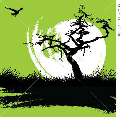 Tree 11279435