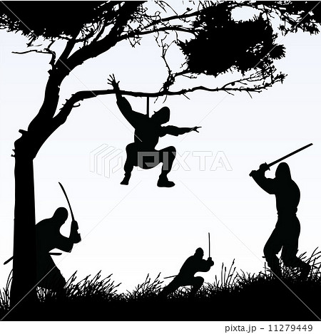 Ninjas 11279449