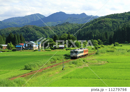 磐越西線「緑一面の田園風景」 11279798