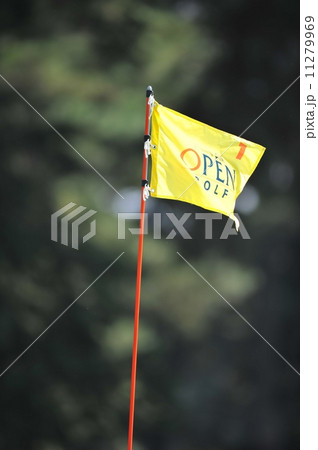 ピンフラッグ ピンフラッグ 11279969