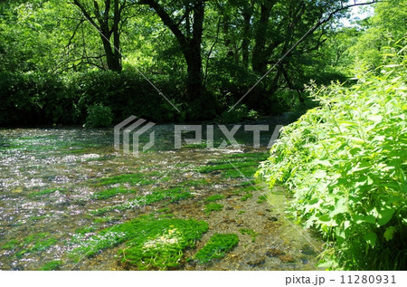 清流1 清流1 11280931