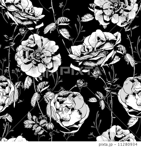 Black and White Floral Seamless Background Black and White Floral Seamless Background 11280934