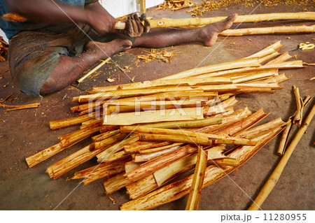 Cinnamon workshop Cinnamon workshop 11280955