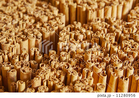 Cinnamon workshop Cinnamon workshop 11280956