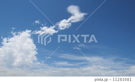 空 11281081
