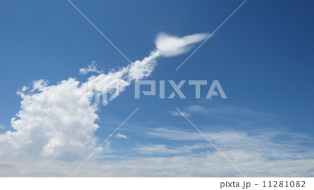 空 11281082