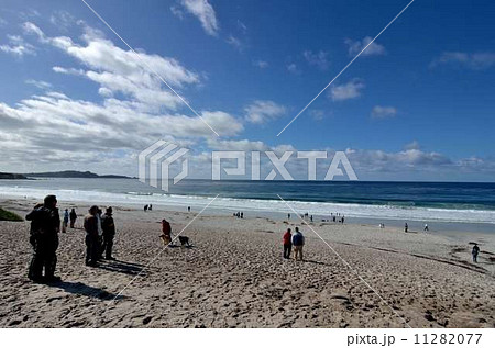 Carmel／カーメル　海岸② 11282077