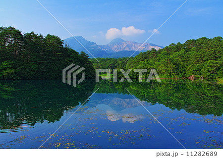 夏の毘沙門沼 11282689