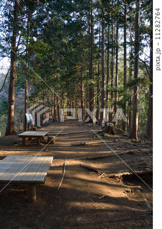 塔ノ岳　登山道 11282764