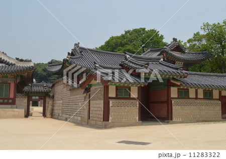 韓国　昌徳宮 11283322