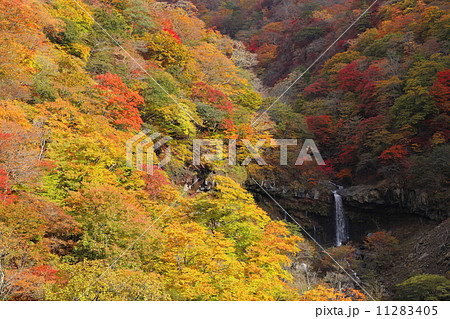 日光いろは坂から紅葉と般若滝 11283405