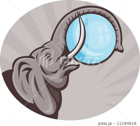 african elephant with sphere ball 11284616