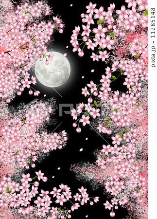 月夜の桜並木のイラスト素材