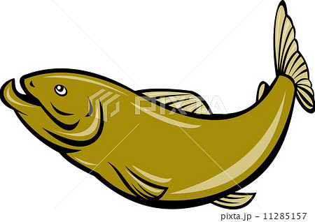 cartoon trout fish jumping side 11285157